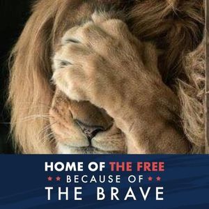 Meet your Posher, Theresa